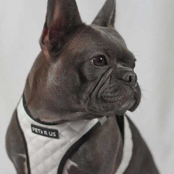 PETsRUS Step In Vest Dog Harness Quilted Vegan Leather White Black Reflective - Picture 8 of 10